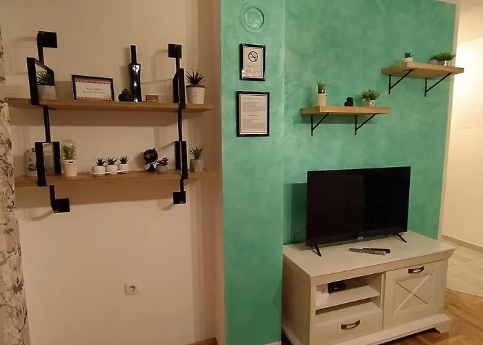 Daniris Διαμέρισμα Petrovaradin